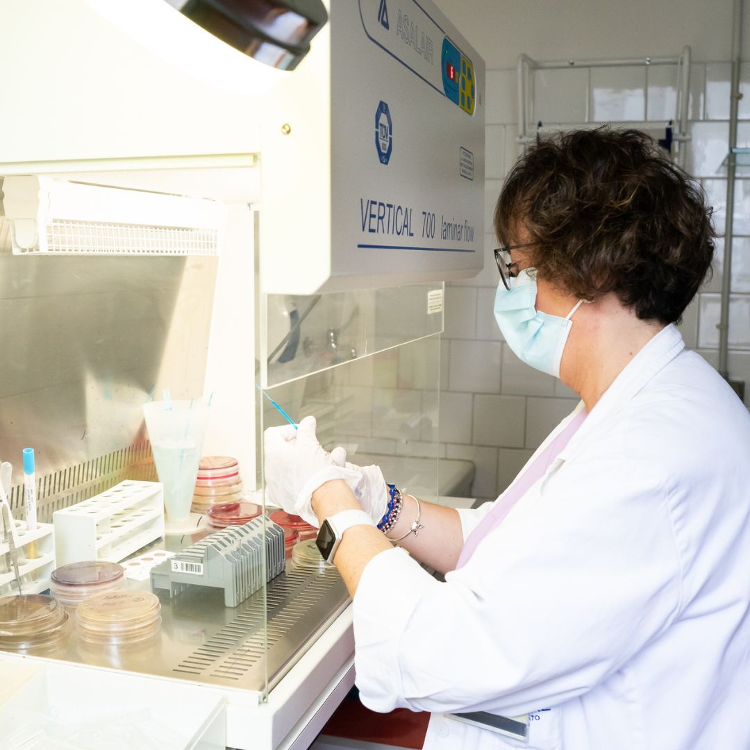 Operatrice di laboratorio con mascherina e guanti che lavora sotto una cappa a flusso laminare con piastre di coltura