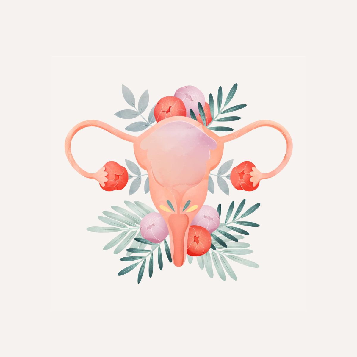 Illustrazione dell'apparato riproduttivo femminile circondato da fiori e foglie