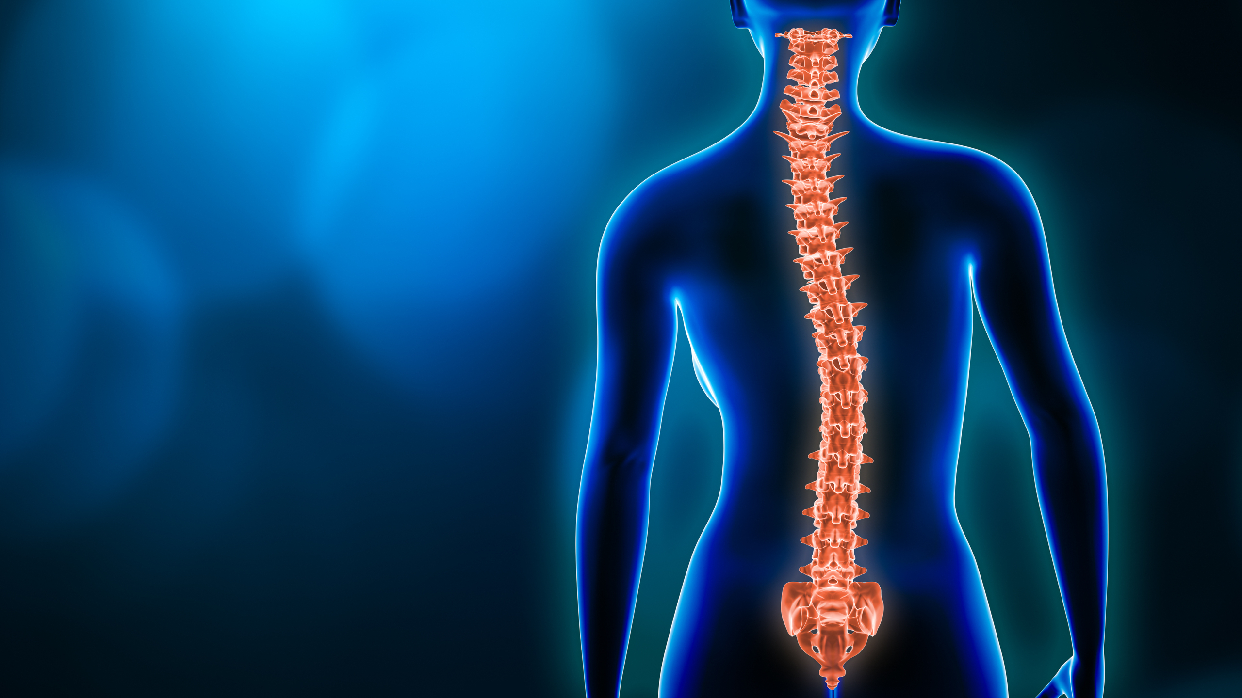 Illustrazione della schiena di una persona con la colonna vertebrale evidenziata in arancione