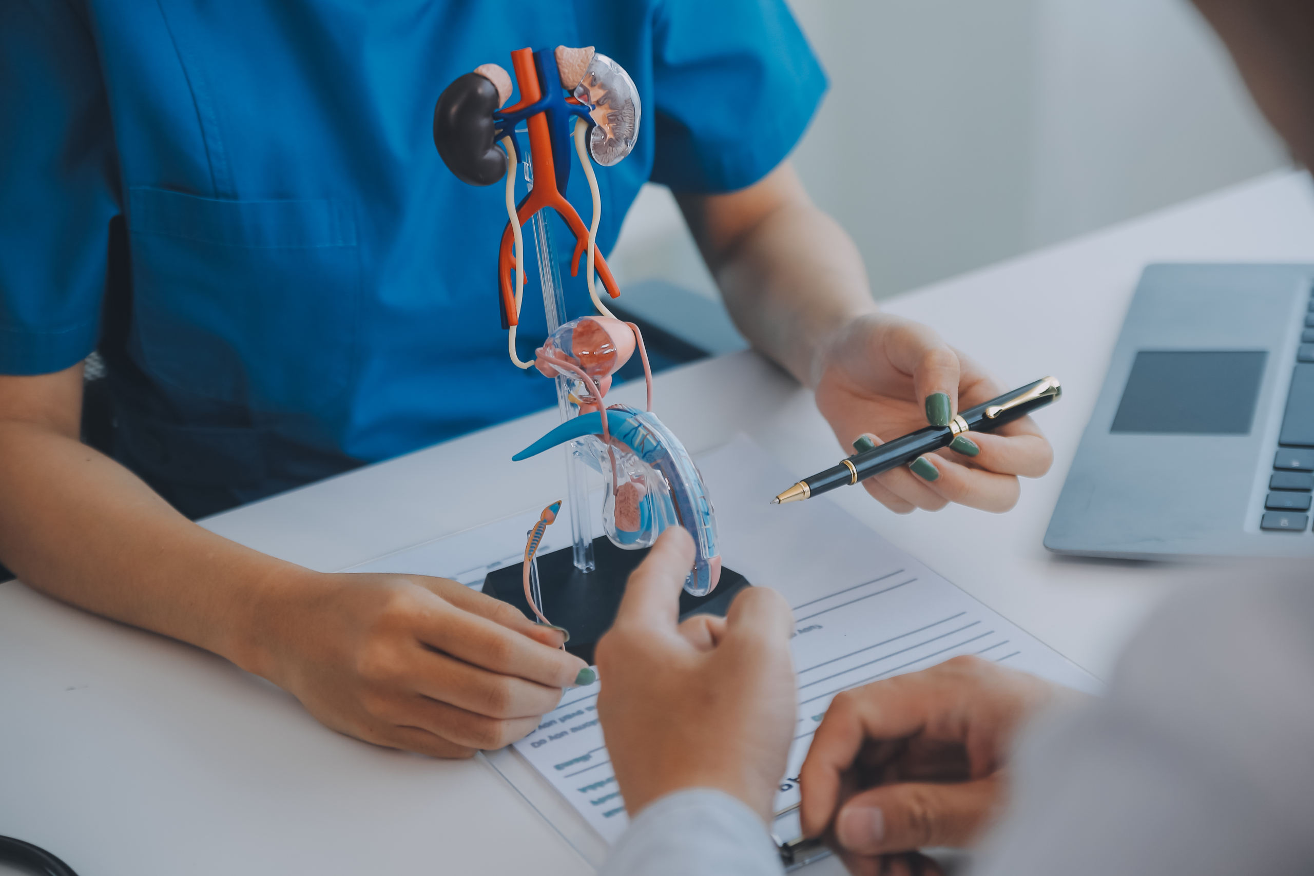 Prevenzione urologica maschile