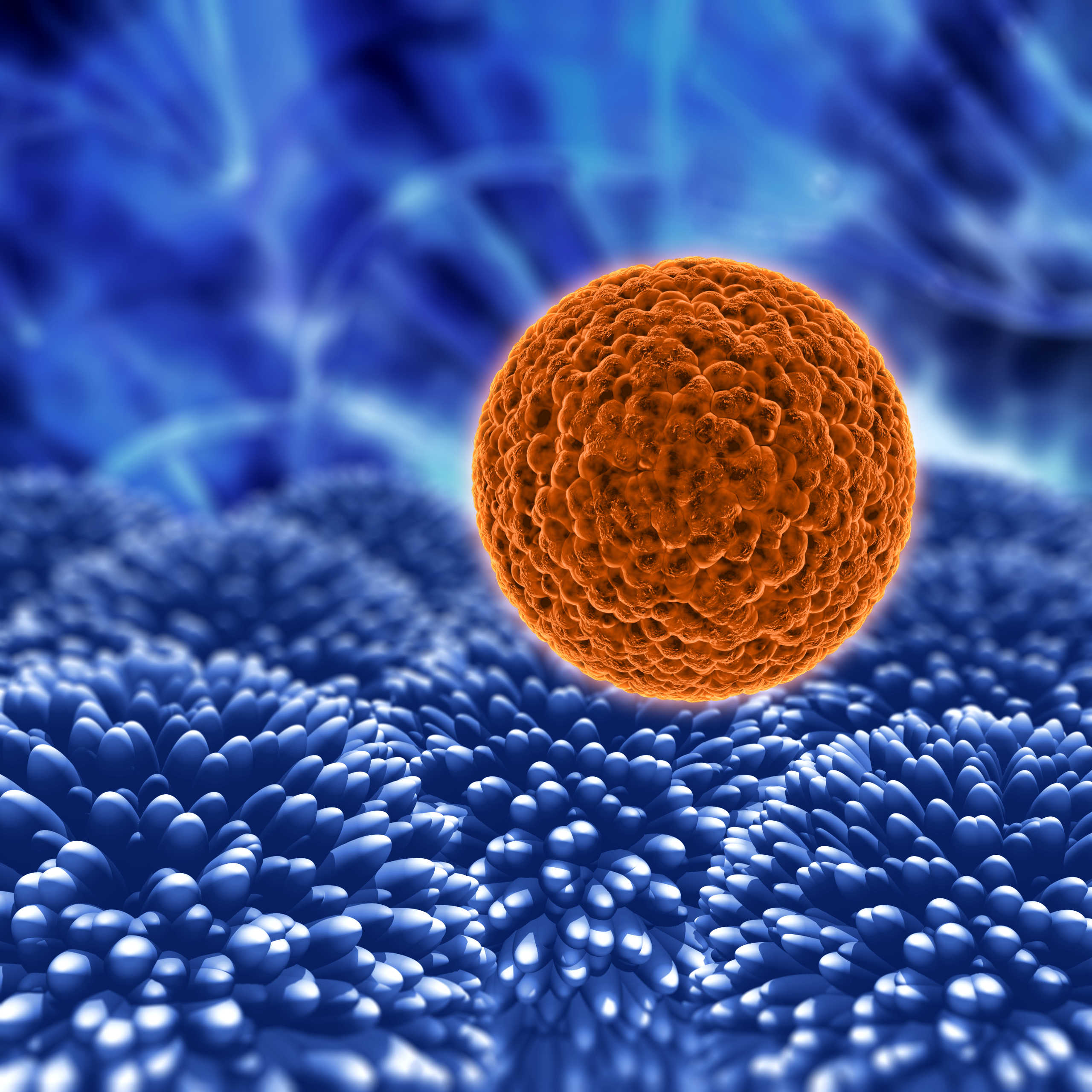 Lipoproteina A Valparma Hospital