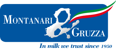 Logo Montanari & Gruzza